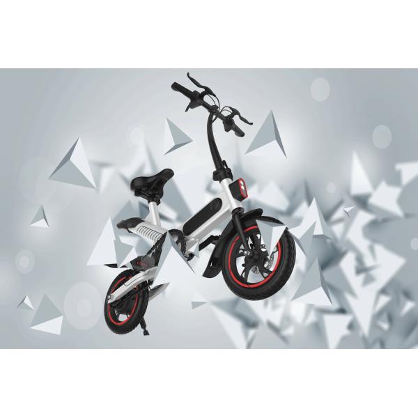Compact 2 Wheels Foldable Electric Bike , Travel Mini Folding Electric Bicycle