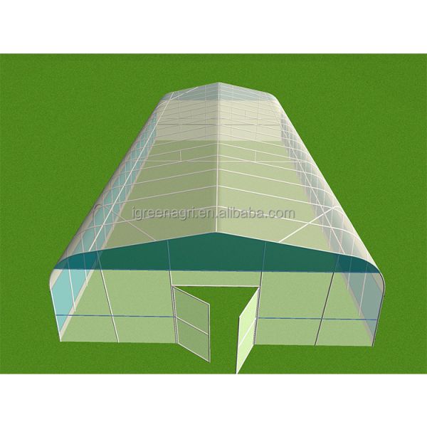 Durable Poly Small Agricultural Greenhouse Tunnel Roses Professional Flower Growing UV-Resistant PE Film Cover Ventilation