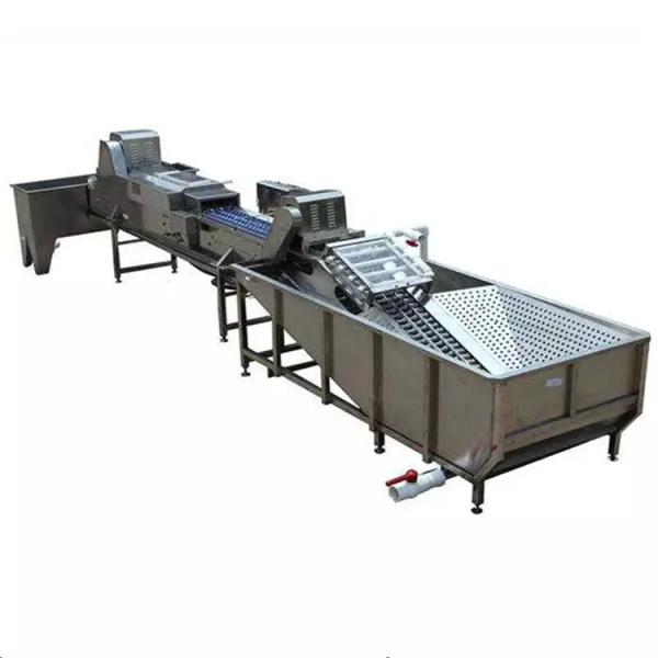 High Efficiency Pasteurized Liquid Egg Processing Line
