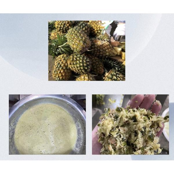 Pineapple Juicer Machine By Screw Pressing Industrial Factory