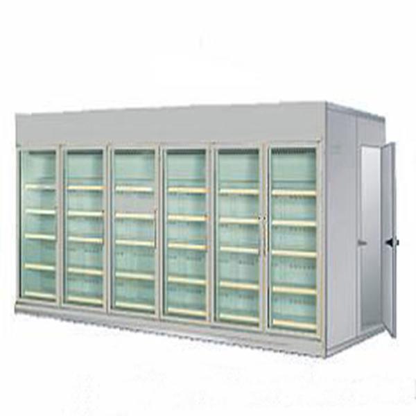 6 caminhada de vidro do supermercado 220V da porta no congelador mais fresco