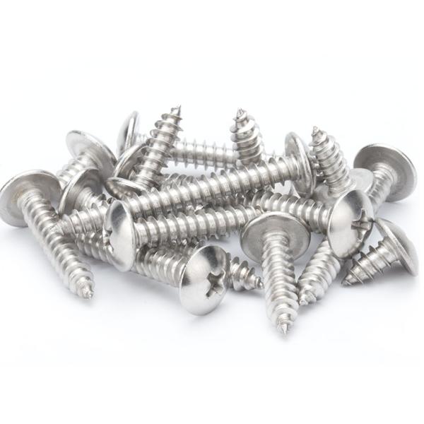 Metric Stainless Steel 304 Pan Head Tapping Screw Sheet Metal Screw with Cheese Head and Chrome Plated Finish Din 7981