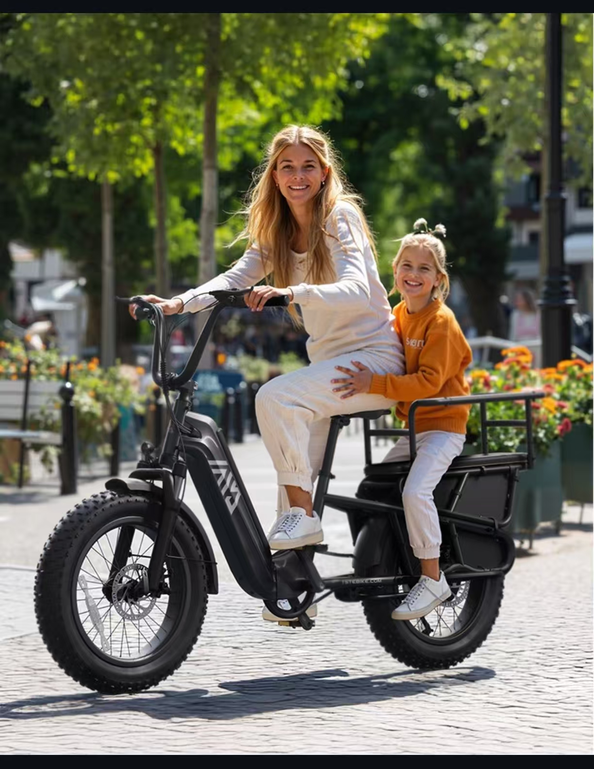 EU Stock New Arrival Fashion 20inch Cargo Ebike 25km/h Road Electric Bike Electric Moped Bicycle With 750W Motor