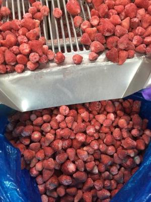 Certified Premium Quality Kinds Of Chinese IQF Frozen Fruits IQF Strawberry