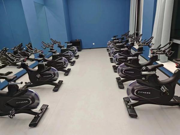 Équipement de remise en forme de la salle de sport à domicile Vélo de spinning pliable d'entraînement aérobique pour le culturisme et l'exercice