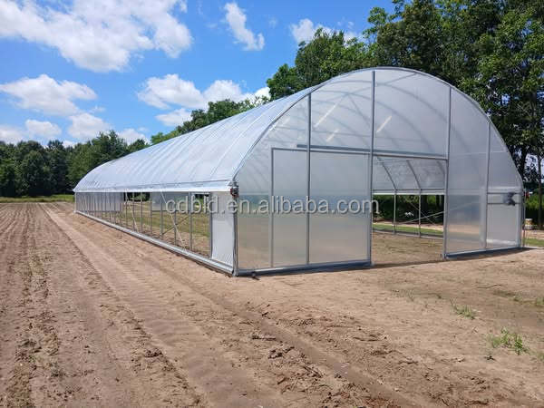 Powerful Auto Controlled Commercial Backyard Greenhouse Sheeting Polycarbonate