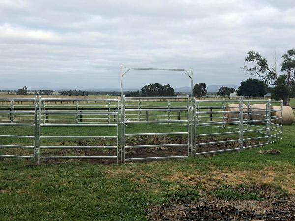 Horse Arenas 20 Meter,Australia Style Corral,Cattle Yards . Victoria 