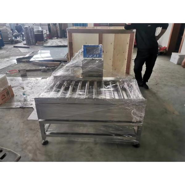 Checkweigher статического ролика высокой точности опционный масштабирует для еды/рекламы