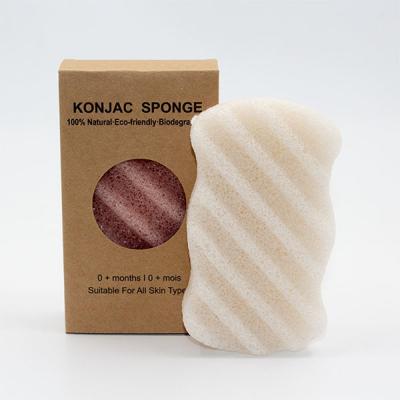 Esponja Konjac da onda biodegradável