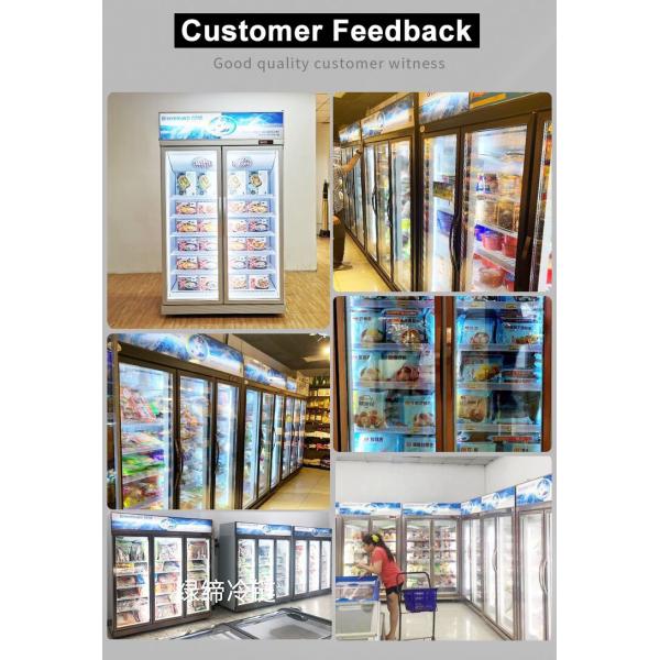 Congelador de porta de vidro visível comercial com 5 prateleiras ajustáveis