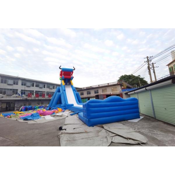 Diapositiva estupenda del parque de atracciones de Dragon Inflatable Water Slides Adult