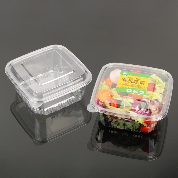 Disposable Plastic Salad Sweetmeat Preserved Fruit Packaging With Lid