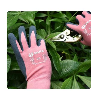 Flores e plantas de nylon cor-de-rosa de Sandy Latex Gloves For Cutting do Spandex