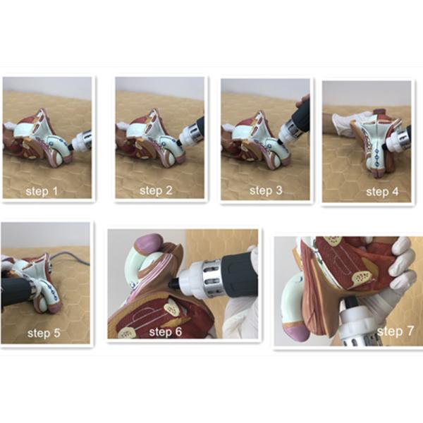 2 In 1 Pneumatic Electromagnetic Shockwave Therapy Machine Pain Relief