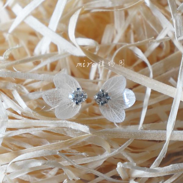 Birthday Gift Flying Butterfly Dry Hydrangea Rhinestone Real Flower Women Fashion Earrings