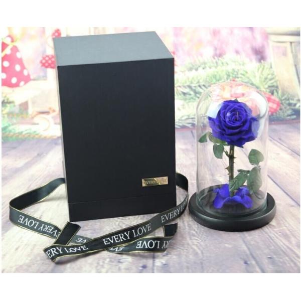 Beautiful Rose Flowers Everlasting Rose Preserved Flower Eternal Rose in Glass