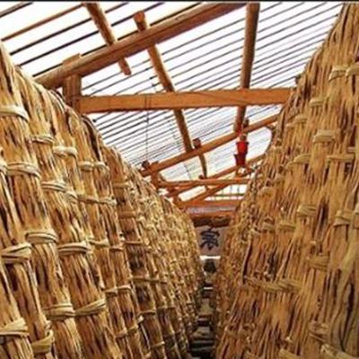 Chá natural saudável da perda de peso de Hunan Água quente que fabrica cerveja o chá escuro