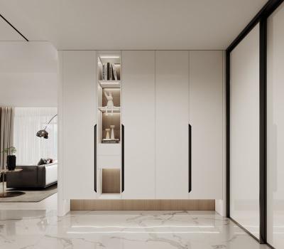 Minimalist Design Stainless Steel Shoe Cabinet With Elegant Storage