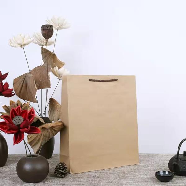 коричневое ремесло Промо-бумажные пакеты Zipper Top для обуви одежда