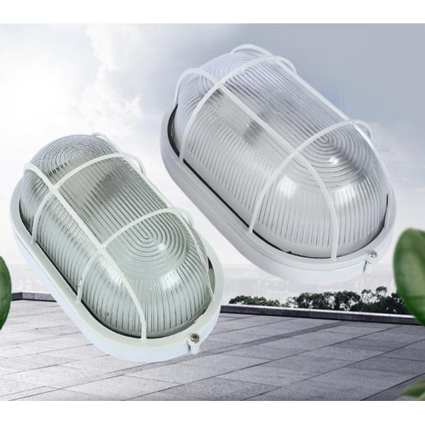 IP44 LED Outdoor Wall Mounted Surface Mounted Caged Round Bulkhead Light with AC Power Supply