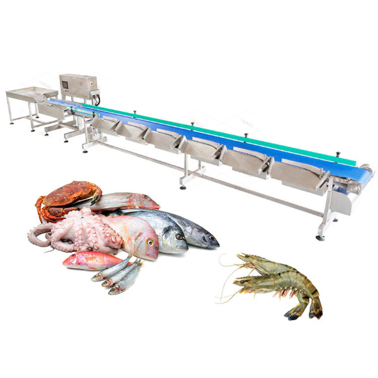 Factory Supply Potato Vegetable Mango Weight Grader Seafood Red Shrimp Sorter Live Fish Sorting Machine for Sale