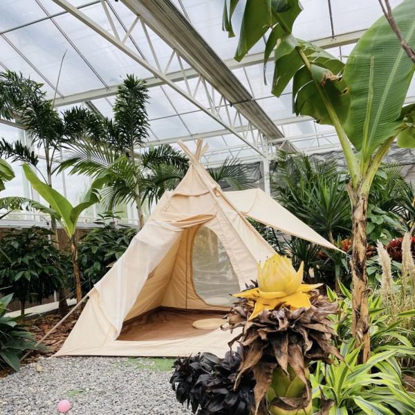 Roofing Shape a Type Roof Greenhouse for Shading Screen Glass Flower Cultivation