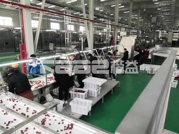 Industrial Mesh Belt Conveyor Dryer Machine Dry Fruit Slicing Machine For Vegetable