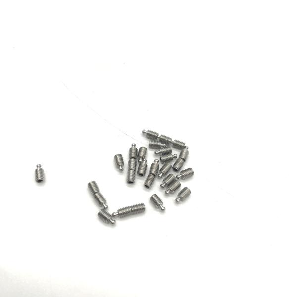 304 Stainless Steel Screws M2 ANSI Standard Electrolytic Polishing