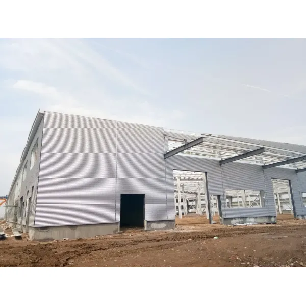 Metallic Light Prefab Hangar Shed with Ce Certificate