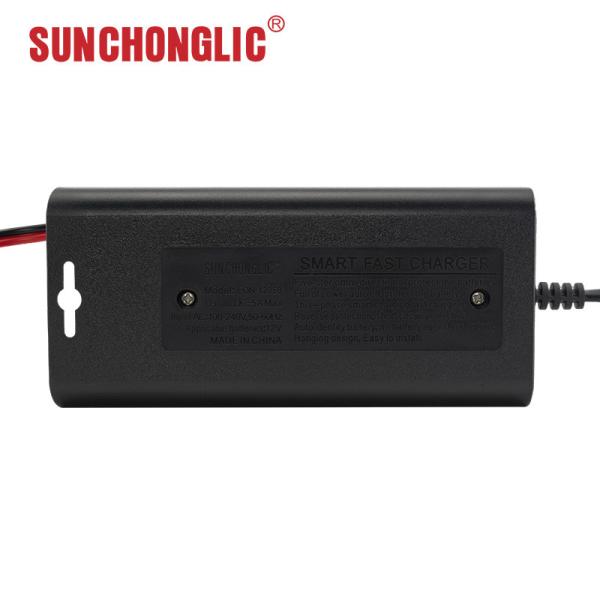 Three Phase Gel Car Battery Charger Input AC 100V 12V 5A Energy Efficient
