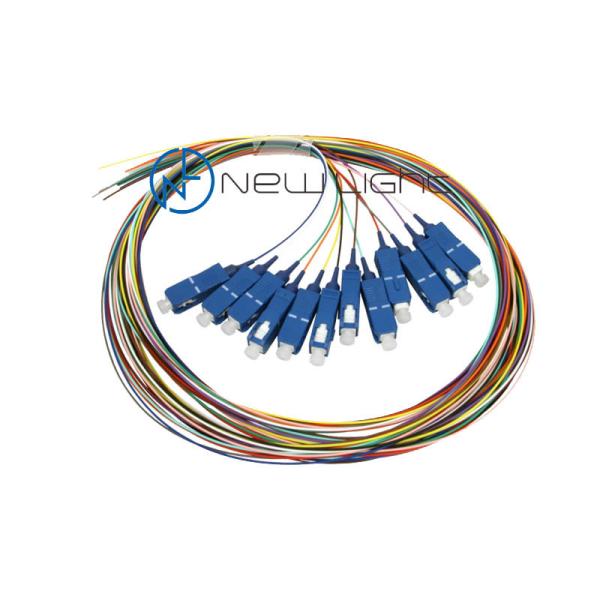 SC/PC 0.9mm 12core Om3 Om4 Fiber Optic Patch Cord