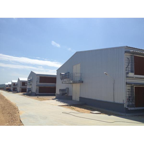 Антикоррозивный оцинкованный полный антоматический птицеводческий завод птицехранилище птицехранилище