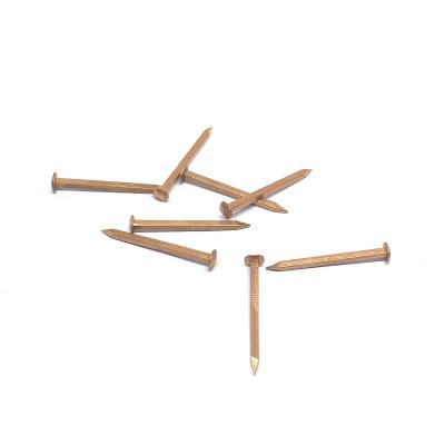 Rose Head Copper Square Boat prega 19MM x 1,6 para pregar da cara
