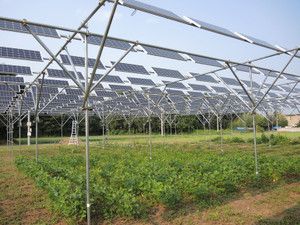 Система решетки IEC CE инвертора Cusomized 6000W солнечная Voltaic
