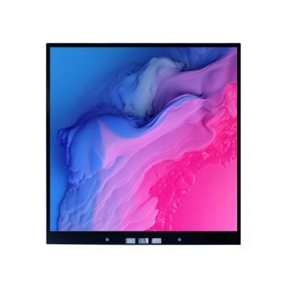 3.95 Inch Square TFT Display Module Custom Square LCD Display