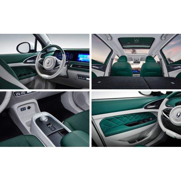 Кот 105KW Ora Великой Китайской Стены автомобилей 150km/h дамы Мини EV хороший