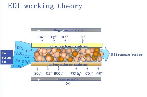 Industrial Ultrapure Water System , EDI Super Pure Water Treatment Machine