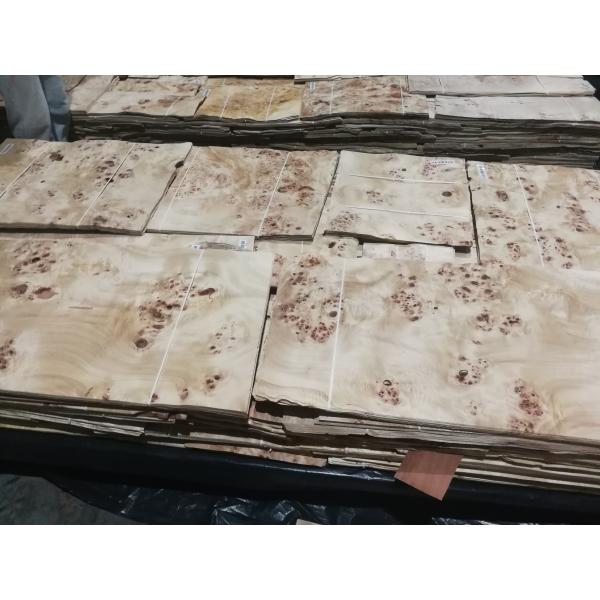 Natural Sliced Cut Poplar Burl Veneer Sheets A Grade For Furniture Decoration