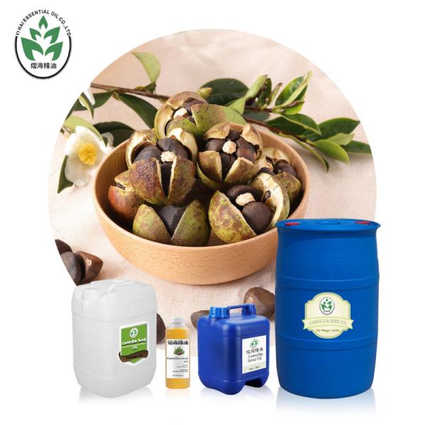 Health Care Original Edible Organic Camellia Seed Oil Refined Pressing