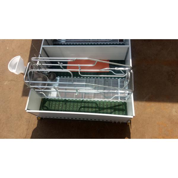 Farrowing Steel Pig Pen