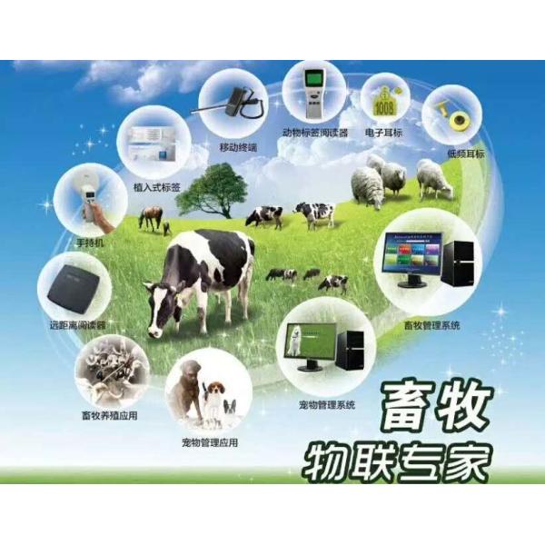 ICAR Non Toxic 100*50mm Livestock Microchip Syringe easy be scanned
