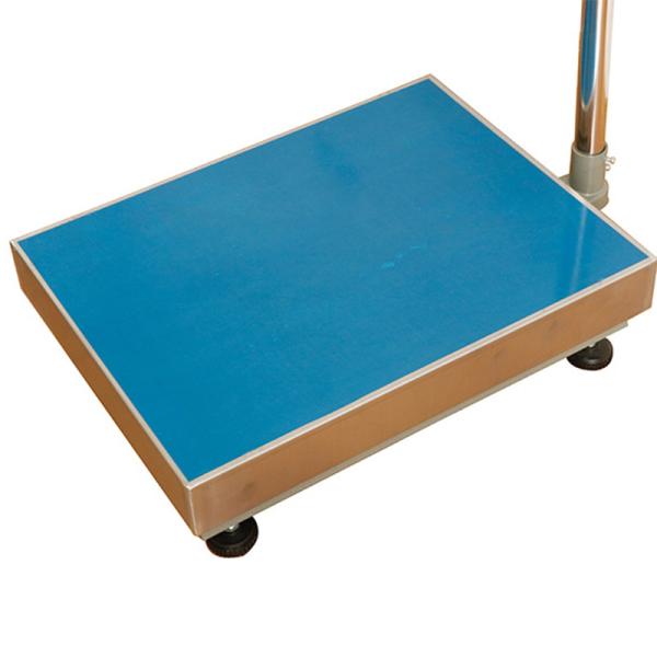 Weight Bench Scale 200 kg Platform Digital Bench Weighing Scale with Customized Color