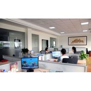 Pileds Led Light Co., Ltd.