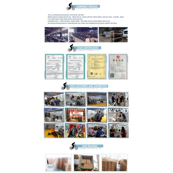 36V 8.8ah Hub Motor Style Electric Bike Lithium Battery 800 Cycles Life