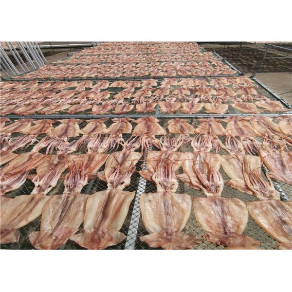 Кальмар круга 85g кальмара 100% естественный высушенный Illex весь свежий замороженный