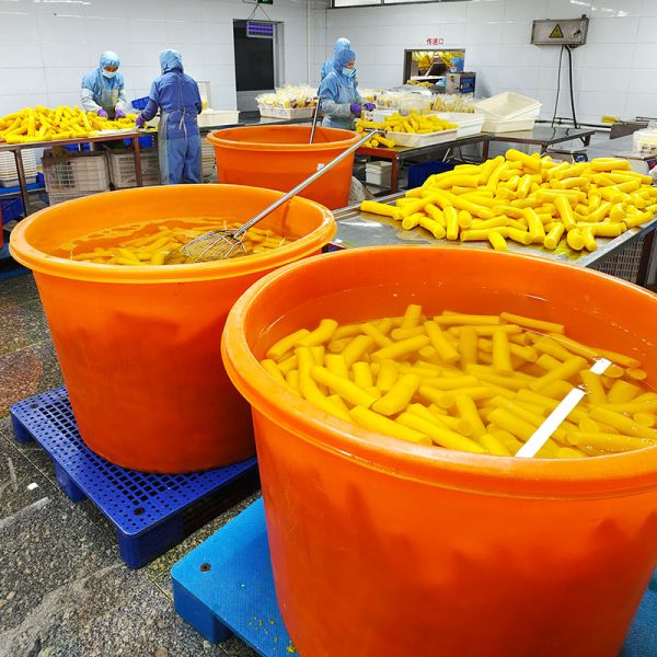 Oem Wholesale Pickled Vegetables Sushi Food Seasoned Picked Radish for Japanese Sushi Cuisine