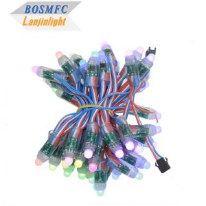 IP68 WS2811 LED Pixel String