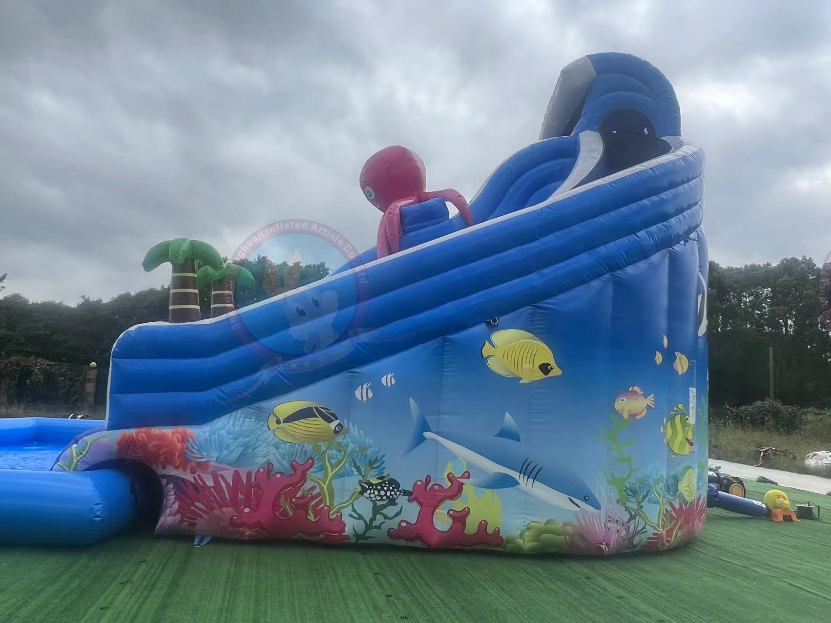 Outdoor Inflatable Water Slide With Pool Custom Cartoon Sea Animal Theme for Family Activities Summer Festivals and Commercial Recreation Projects