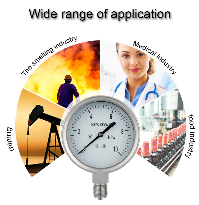 YE100BF Customized Full Stainless Case M20*1.5 Thread Manometer for Air Pressure Gauge