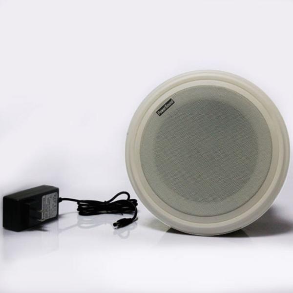 Ceiling Mount Amplifier for Public Broadcasting, Microwave Detection